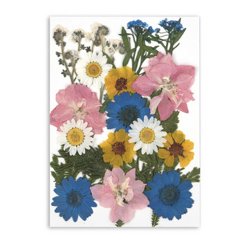 1 τσάντα αποξηραμένα λουλούδια Πρεσαριστά λουλούδια Αυτοκόλλητα για θήκη τηλεφώνου DIY Εποξειδική ρητίνη Γέμισμα Κρεμαστό κόσμημα Κατασκευή Χειροτεχνίας Νυχιών Διακόσμηση