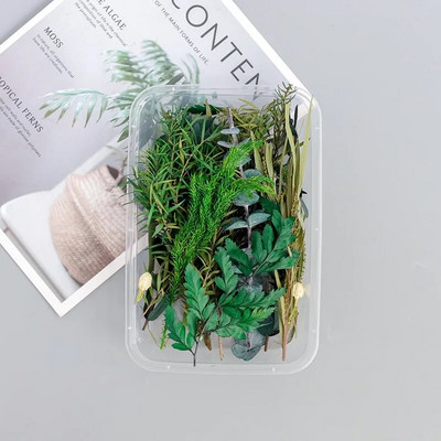 1 doboz citromszelet rózsa bimbófej levendula granulátum szárított virág barkácsolt illatos gyertya viasz szelet dekoratív keverék viráganyag kezdőlap