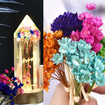 30 τμχ Αποξηραμένα λουλούδια πλήρωσης ρητίνης UV Μίνι Βραζιλίας Αστέρι Χρυσάνθεμο Λουλούδι DIY Εποξειδική Ρητίνη Καλούπι Καλούπις Τέχνης Προμήθειες κατασκευής κοσμημάτων χειροτεχνίας