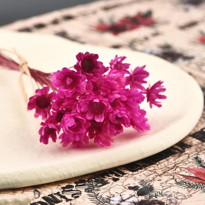 30 kom osušenog cvijeća UV smola za punilo Mini brazilska zvijezda cvijet krizanteme DIY kalup od epoksi smole Pribor za izradu nakita za umjetnost