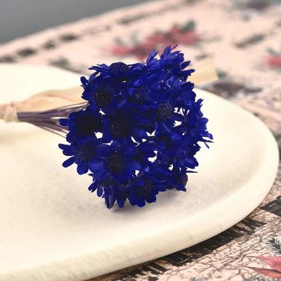 30 kom osušenog cvijeća UV smola za punilo Mini brazilska zvijezda cvijet krizanteme DIY kalup od epoksi smole Pribor za izradu nakita za umjetnost