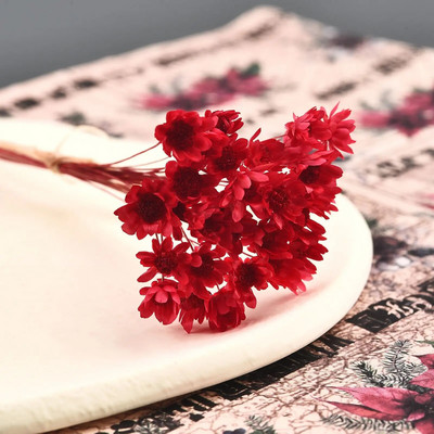 30 kom osušenog cvijeća UV smola za punilo Mini brazilska zvijezda cvijet krizanteme DIY kalup od epoksi smole Pribor za izradu nakita za umjetnost