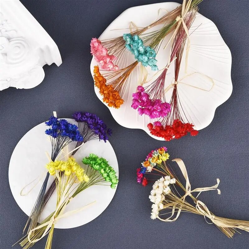 30 kom osušenog cvijeća UV smola za punilo Mini brazilska zvijezda cvijet krizanteme DIY kalup od epoksi smole Pribor za izradu nakita za umjetnost