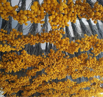 Естествени сушени цветя Craspedia Жълти бутони Били Букет топки, Аранжировки от истински сухи растения Украсете за домашни занаяти, Сватба