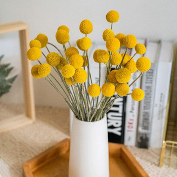 Φυσικά αποξηραμένα λουλούδια Craspedia Μπουκέτο με μπάλες με κίτρινα κουμπιά Billy, Πραγματικές συνθέσεις ξηρών φυτών Διακοσμητικά για χειροτεχνίες στο σπίτι, γάμο
