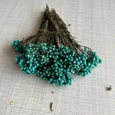 8 ~ 15 cm/12 DB természetes szárított, tartósított kölesvirág, száraz apró Ozothamnus Diosmifolius virágok barkácsolás gyertyakészítési kellékekhez, gyanta