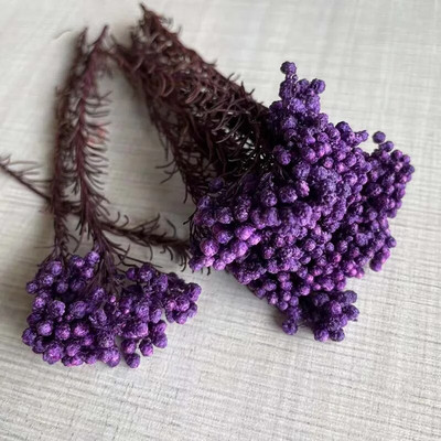 8 ~ 15 cm/12 DB természetes szárított, tartósított kölesvirág, száraz apró Ozothamnus Diosmifolius virágok barkácsolás gyertyakészítési kellékekhez, gyanta