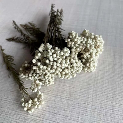 8 ~ 15 cm/12 DB természetes szárított, tartósított kölesvirág, száraz apró Ozothamnus Diosmifolius virágok barkácsolás gyertyakészítési kellékekhez, gyanta