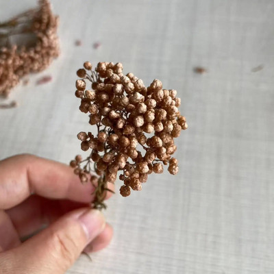 8 ~ 15 cm/12 DB természetes szárított, tartósított kölesvirág, száraz apró Ozothamnus Diosmifolius virágok barkácsolás gyertyakészítési kellékekhez, gyanta