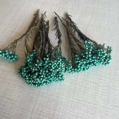 8 ~ 15 cm/12 DB természetes szárított, tartósított kölesvirág, száraz apró Ozothamnus Diosmifolius virágok barkácsolás gyertyakészítési kellékekhez, gyanta