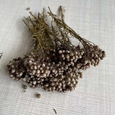 8 ~ 15 cm/12 DB természetes szárított, tartósított kölesvirág, száraz apró Ozothamnus Diosmifolius virágok barkácsolás gyertyakészítési kellékekhez, gyanta