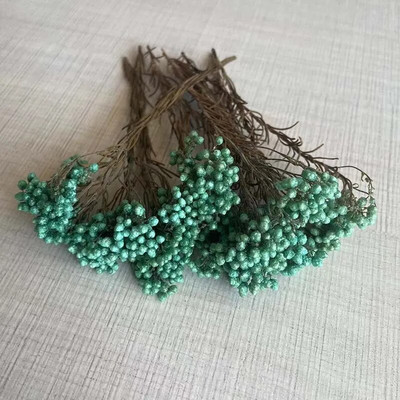 8 ~ 15 cm/12 DB természetes szárított, tartósított kölesvirág, száraz apró Ozothamnus Diosmifolius virágok barkácsolás gyertyakészítési kellékekhez, gyanta