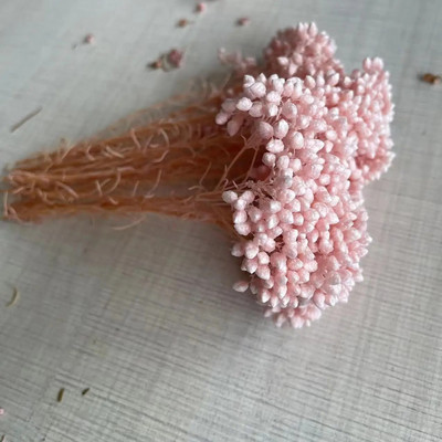 8 ~ 15 cm/12 DB természetes szárított, tartósított kölesvirág, száraz apró Ozothamnus Diosmifolius virágok barkácsolás gyertyakészítési kellékekhez, gyanta
