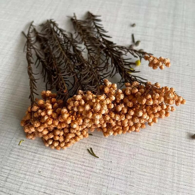 8 ~ 15 cm/12 DB természetes szárított, tartósított kölesvirág, száraz apró Ozothamnus Diosmifolius virágok barkácsolás gyertyakészítési kellékekhez, gyanta