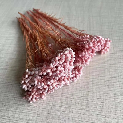 8 ~ 15 cm/12 DB természetes szárított, tartósított kölesvirág, száraz apró Ozothamnus Diosmifolius virágok barkácsolás gyertyakészítési kellékekhez, gyanta