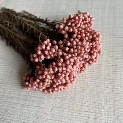 8 ~ 15 cm/12 DB természetes szárított, tartósított kölesvirág, száraz apró Ozothamnus Diosmifolius virágok barkácsolás gyertyakészítési kellékekhez, gyanta