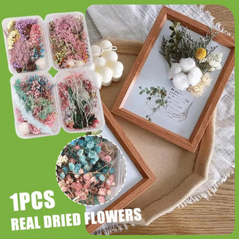 Цветни естествени изсушени цветя за епоксидна смола, ръчно изработени занаяти Направи си сам букет, гирлянд, правене на свещи, домашна сватбена кутия, цветен декор