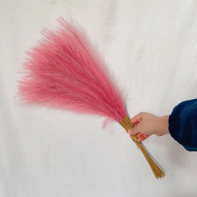 55cm 5/10 DB Bolyhos pampa fű Boho dekor virág nád szimulált esküvői hamis növényparti lakberendezési művirágok