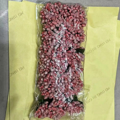 144 komada Mini Duda Umjetni cvijet Prašnik Kutija za kućnu zabavu Kutija za vjenčanje Ukrasi DIY vijenac Potrepštine za rukotvorine