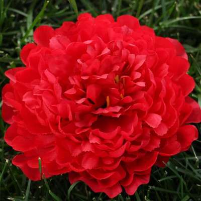 3Pcs/lot 18cm Extra veliki otvoreni božuri cvjetne glave svileno umjetno cvijeće cvjetni ukrasi za jesen Dekoracije za zabavu deco mariage