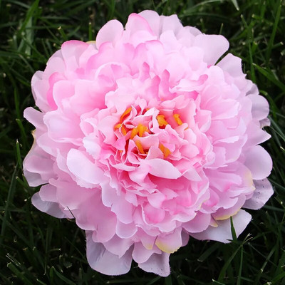 3Pcs/lot 18cm Extra veliki otvoreni božuri cvjetne glave svileno umjetno cvijeće cvjetni ukrasi za jesen Dekoracije za zabavu deco mariage