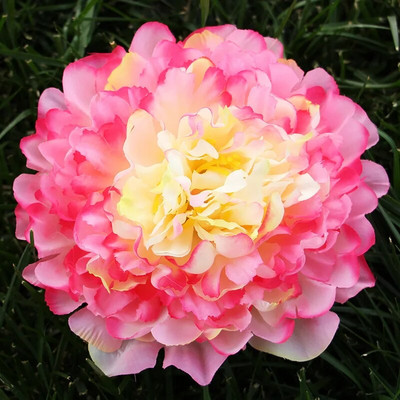 3Pcs/lot 18cm Extra veliki otvoreni božuri cvjetne glave svileno umjetno cvijeće cvjetni ukrasi za jesen Dekoracije za zabavu deco mariage