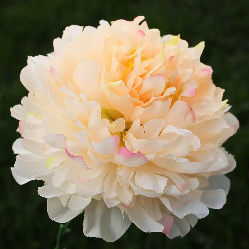 3Pcs/lot 18cm Extra veliki otvoreni božuri cvjetne glave svileno umjetno cvijeće cvjetni ukrasi za jesen Dekoracije za zabavu deco mariage