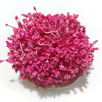 800 tk/partii 5mm DIY kunstvahust lillepuidu minipärlililled pärg pulmapeo kodukaunistus