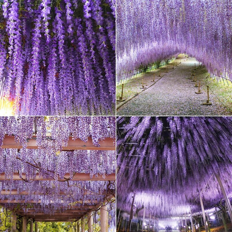 110cm Wisteria kunstlill rippuv vanik viinapuu võltslill luuderohi leht siidlilled koduaed pulmakaunistus lilled