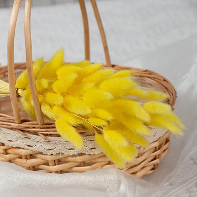 100 komada prirodne pampaske trave osušeni cvijet zečji rep trava buket cvjetni vjenčani ukrasi za dom foto rekviziti biljke zečji rep