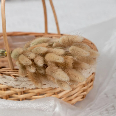 100 komada prirodne pampaske trave osušeni cvijet zečji rep trava buket cvjetni vjenčani ukrasi za dom foto rekviziti biljke zečji rep