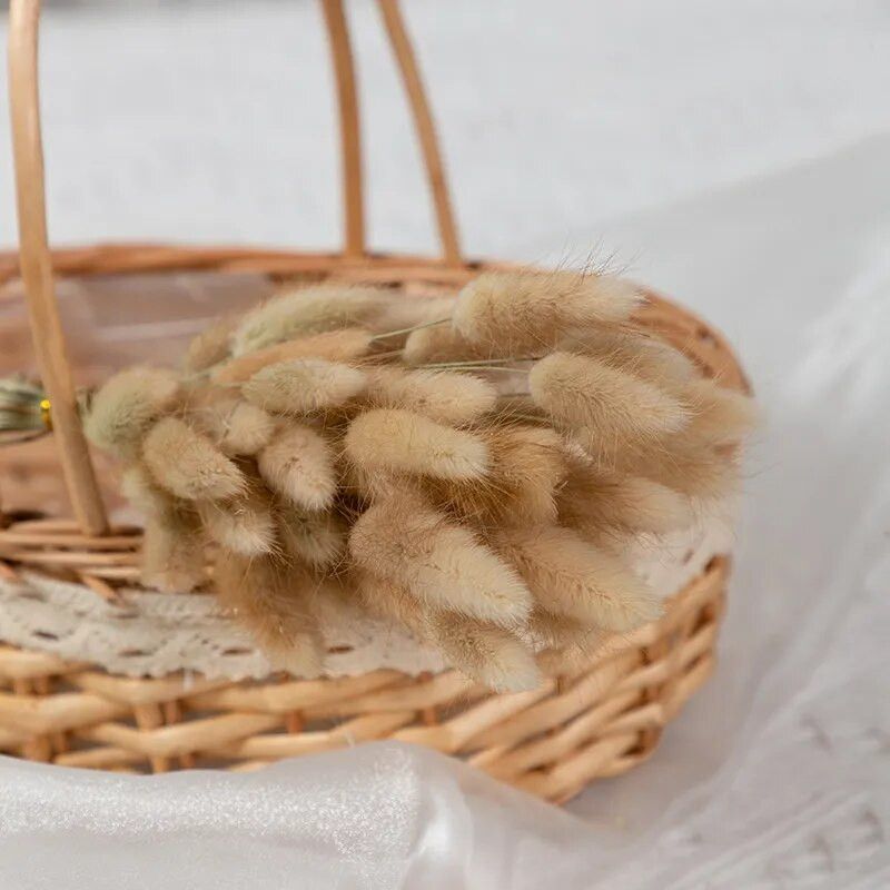 100 komada prirodne pampaske trave osušeni cvijet zečji rep trava buket cvjetni vjenčani ukrasi za dom foto rekviziti biljke zečji rep