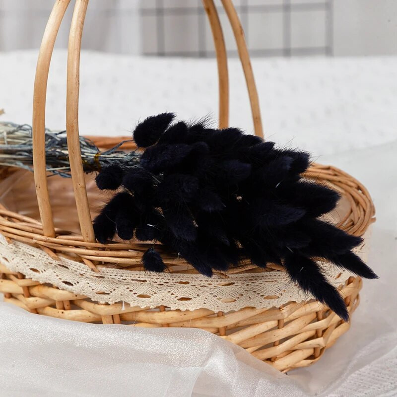 100 komada prirodne pampaske trave osušeni cvijet zečji rep trava buket cvjetni vjenčani ukrasi za dom foto rekviziti biljke zečji rep