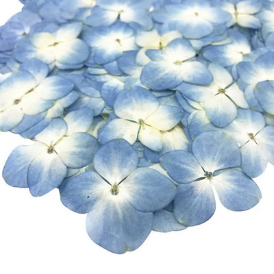 Szárított virág 12 db epoxigyanta barkácsolás préselt növényminta telefon dekor tartozék