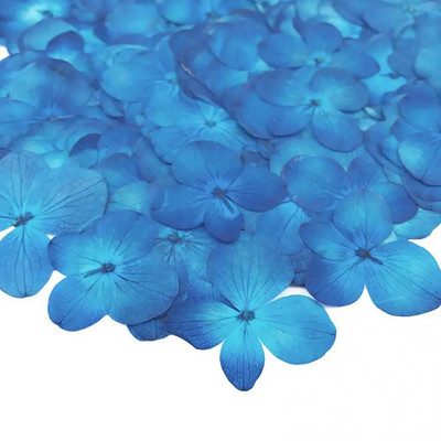 Szárított virág 12 db epoxigyanta barkácsolás préselt növényminta telefon dekor tartozék