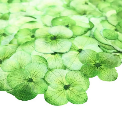 Szárított virág 12 db epoxigyanta barkácsolás préselt növényminta telefon dekor tartozék