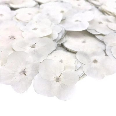 Szárított virág 12 db epoxigyanta barkácsolás préselt növényminta telefon dekor tartozék