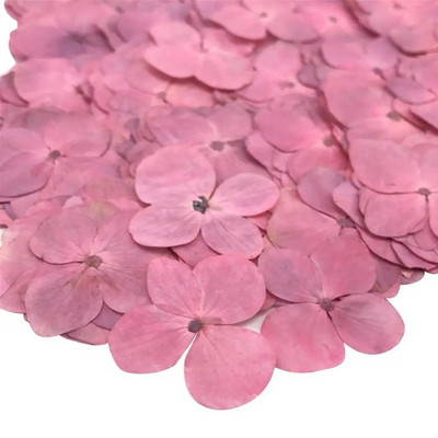 Szárított virág 12 db epoxigyanta barkácsolás préselt növényminta telefon dekor tartozék