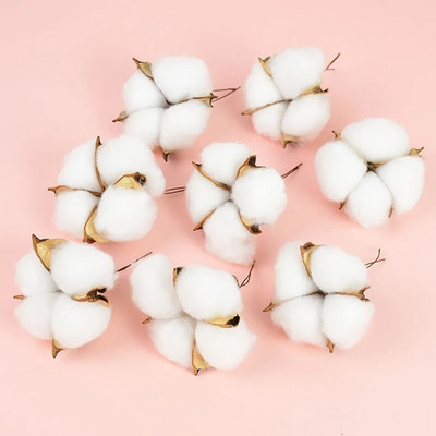 5/10 kom 4 glave prirodno osušene pamučne cvjetne glave cvjećarske potrepštine svadbene zabave kućni ukrasni DIY obrtnički vijenac Poklon spomenar