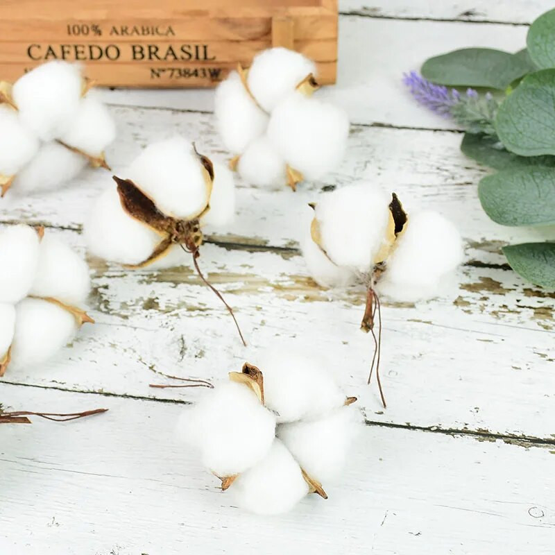 5/10 kom 4 glave prirodno osušene pamučne cvjetne glave cvjećarske potrepštine svadbene zabave kućni ukrasni DIY obrtnički vijenac Poklon spomenar