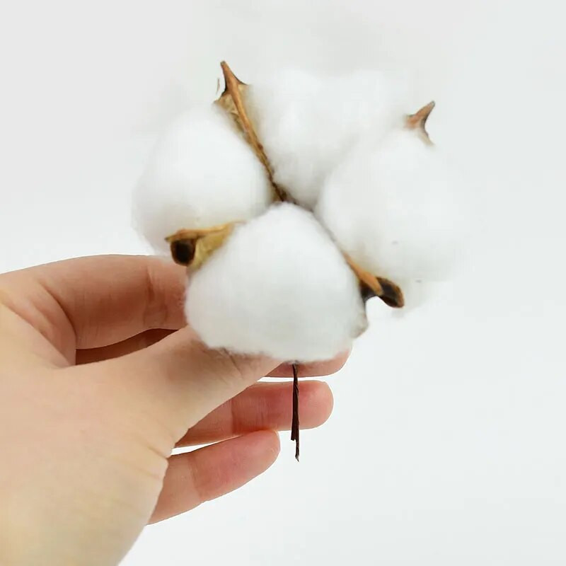 5/10 kom 4 glave prirodno osušene pamučne cvjetne glave cvjećarske potrepštine svadbene zabave kućni ukrasni DIY obrtnički vijenac Poklon spomenar