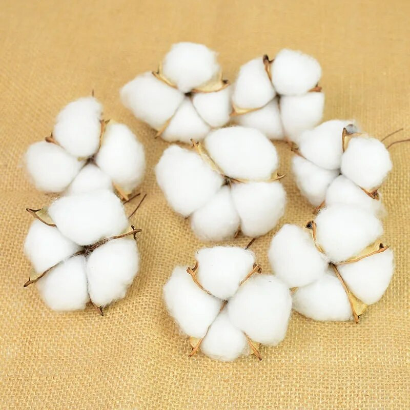 5/10 kom 4 glave prirodno osušene pamučne cvjetne glave cvjećarske potrepštine svadbene zabave kućni ukrasni DIY obrtnički vijenac Poklon spomenar