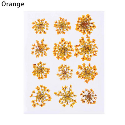 12Gb/Somiņa Presēti margrietiņas kaltēti ziedi Krāsains sveķu mākslas kulons DIY Amatniecība grima rotaslietu izgatavošanai 15*10CM mājas dekorēšanai