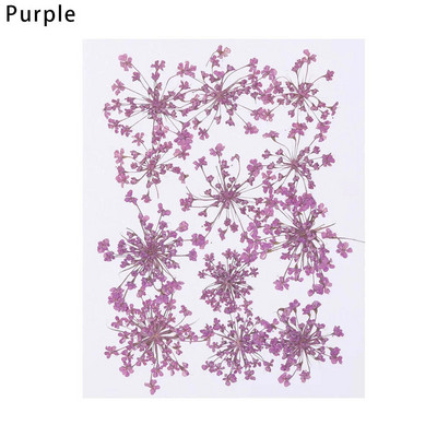 12Gb/Somiņa Presēti margrietiņas kaltēti ziedi Krāsains sveķu mākslas kulons DIY Amatniecība grima rotaslietu izgatavošanai 15*10CM mājas dekorēšanai