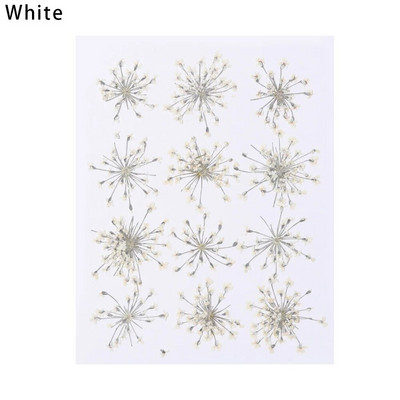 12Gb/Somiņa Presēti margrietiņas kaltēti ziedi Krāsains sveķu mākslas kulons DIY Amatniecība grima rotaslietu izgatavošanai 15*10CM mājas dekorēšanai