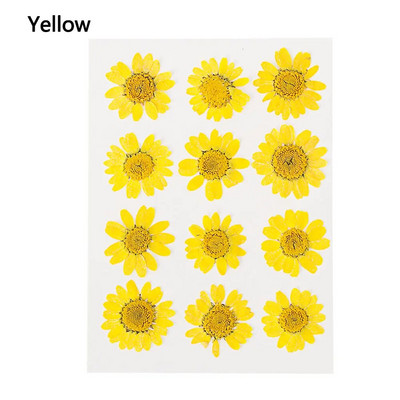 12Gb/Somiņa Presēti margrietiņas kaltēti ziedi Krāsains sveķu mākslas kulons DIY Amatniecība grima rotaslietu izgatavošanai 15*10CM mājas dekorēšanai