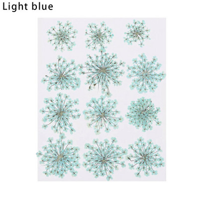 12Gb/Somiņa Presēti margrietiņas kaltēti ziedi Krāsains sveķu mākslas kulons DIY Amatniecība grima rotaslietu izgatavošanai 15*10CM mājas dekorēšanai