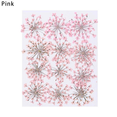 12Gb/Somiņa Presēti margrietiņas kaltēti ziedi Krāsains sveķu mākslas kulons DIY Amatniecība grima rotaslietu izgatavošanai 15*10CM mājas dekorēšanai