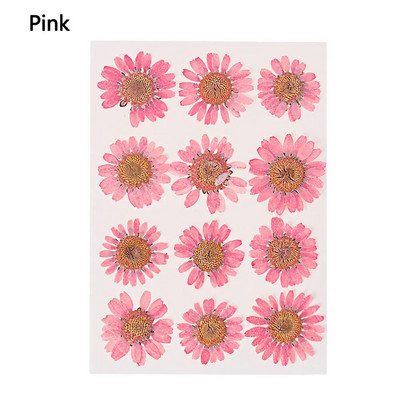 12Gb/Somiņa Presēti margrietiņas kaltēti ziedi Krāsains sveķu mākslas kulons DIY Amatniecība grima rotaslietu izgatavošanai 15*10CM mājas dekorēšanai