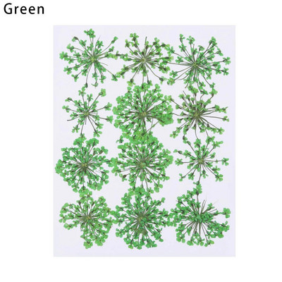 12Gb/Somiņa Presēti margrietiņas kaltēti ziedi Krāsains sveķu mākslas kulons DIY Amatniecība grima rotaslietu izgatavošanai 15*10CM mājas dekorēšanai